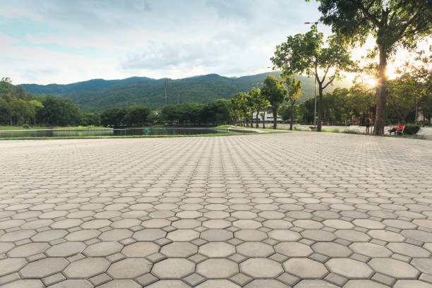 Best Concrete Paver Driveway  in Pella, IA